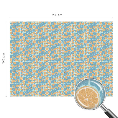 Samolepiaca fólia na sklo vitrážová Rybí citrus