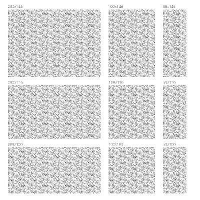 Nepriehľadná fólia na okno Vtáky a kvety