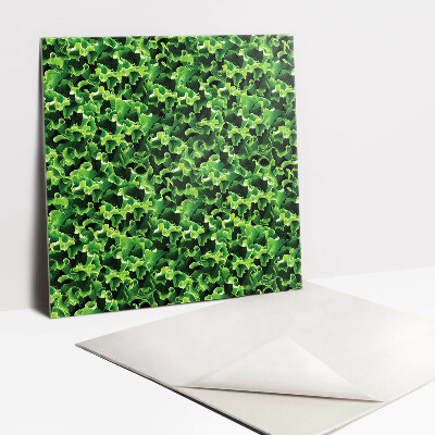 PVC obklady Listy zeleného šalátu