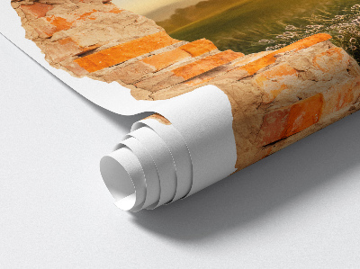 Fototapeta diera v stene 85x100 Slnečná lúka