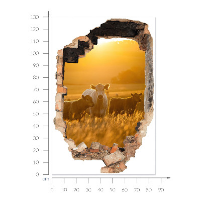 Fototapeta diera v stene 86x130 Vidiecka krajina