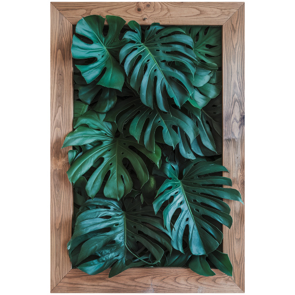 Nálepka na stenu 3D 54x80 Zelené zloženie