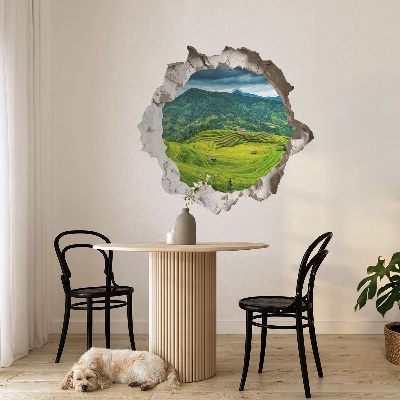 3D nálepka diera v stene 80x76 Zelené terasy