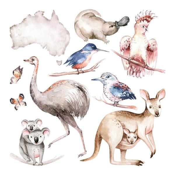 Samolepky na stenu 60x76 Austrálska fauna v jemných pasteloch