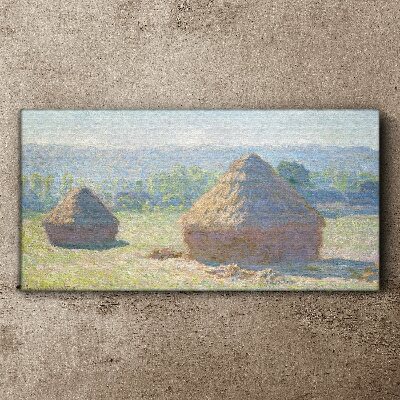 Obraz Canvas Letné slnko nad kopami sena