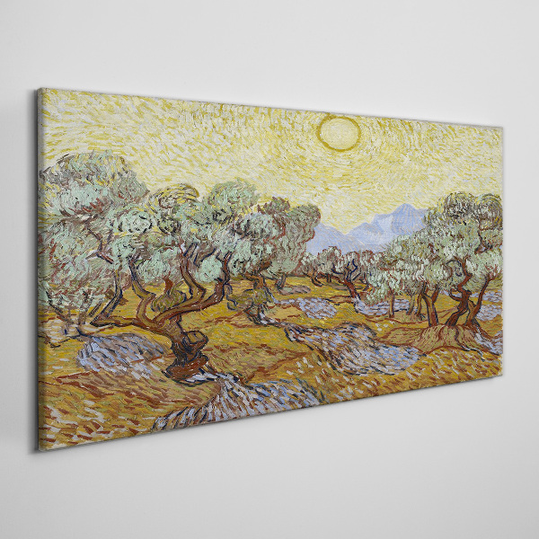 Obraz Canvas Olivovníky na slnku