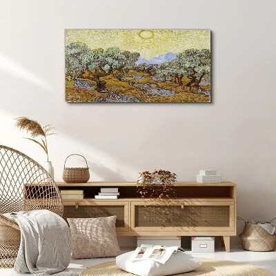Obraz Canvas Olivovníky na slnku