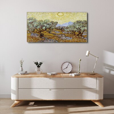 Obraz Canvas Olivovníky na slnku
