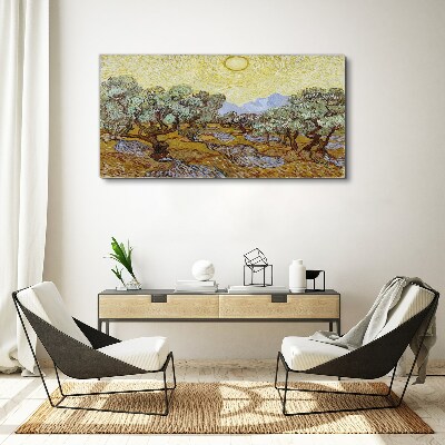 Obraz Canvas Olivovníky na slnku