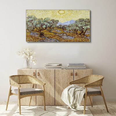 Obraz Canvas Olivovníky na slnku