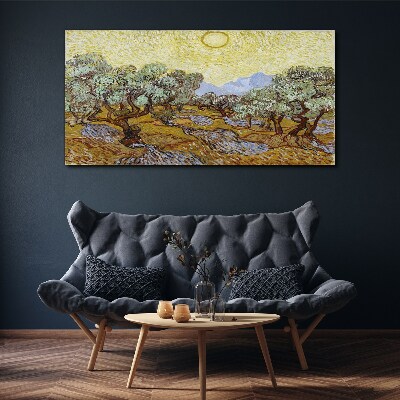 Obraz Canvas Olivovníky na slnku