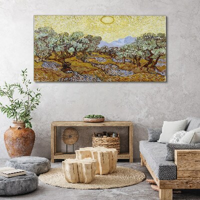 Obraz Canvas Olivovníky na slnku