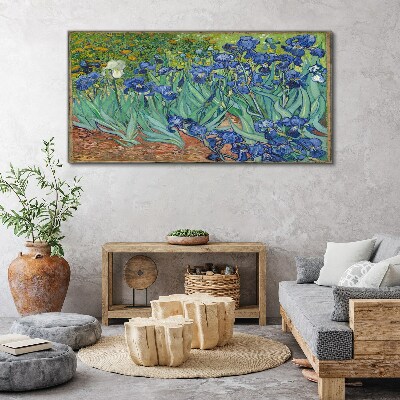 Obraz na plátne Van Gogh Dúhovky
