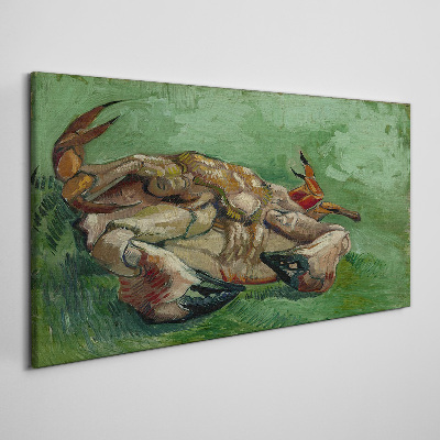 Obraz canvas Krab ležiaci na chrbte