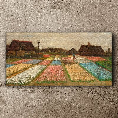 Obraz canvas Jarné tulipánové polia