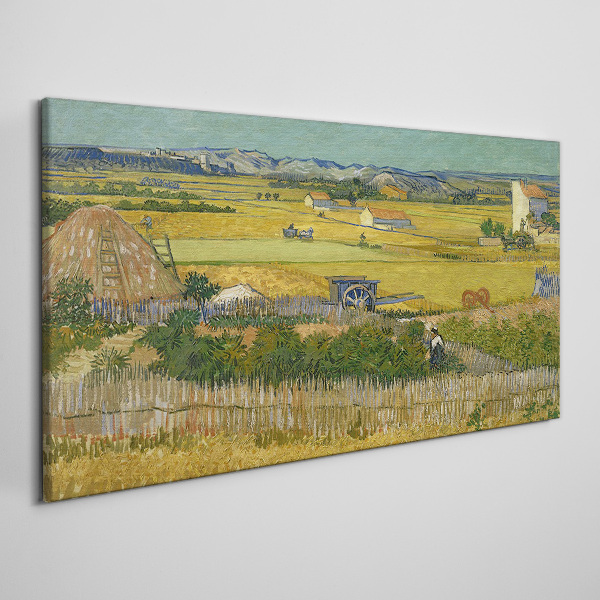 Obraz canvas Pšeničné pole