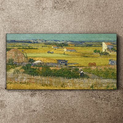 Obraz canvas Pšeničné pole