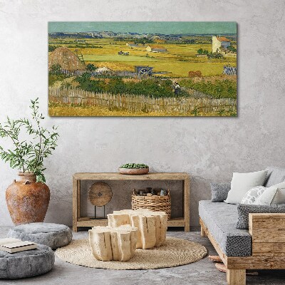 Obraz canvas Pšeničné pole