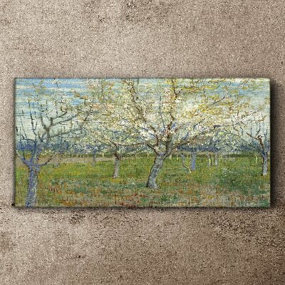 Obraz canvas Kvitnúce stromy na jarnom slnku