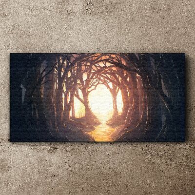 Obraz canvas Svetlo v lese