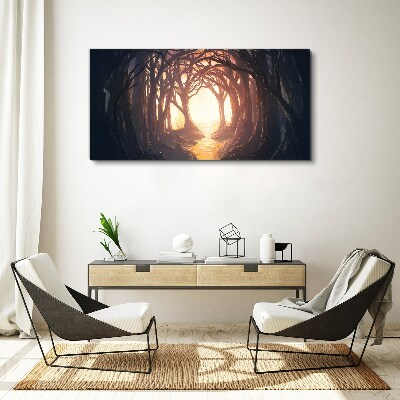 Obraz canvas Svetlo v lese