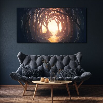 Obraz canvas Svetlo v lese