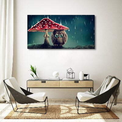 Obraz Canvas Sova pod hubou v daždi