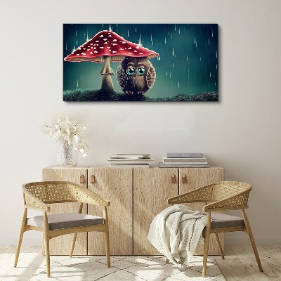 Obraz Canvas Sova pod hubou v daždi