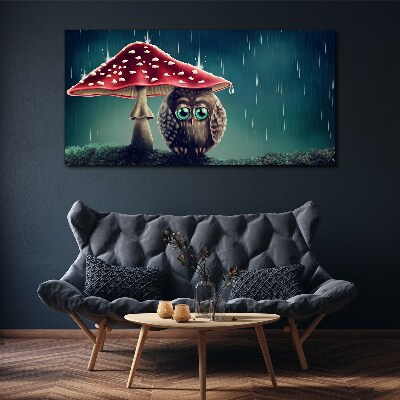 Obraz Canvas Sova pod hubou v daždi