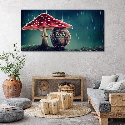 Obraz Canvas Sova pod hubou v daždi