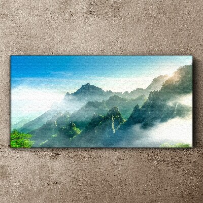 Obraz canvas Horské stromy neba