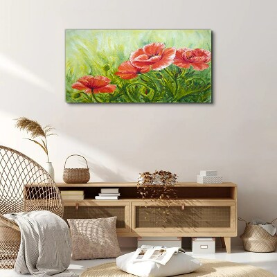 Obraz canvas kvety makov