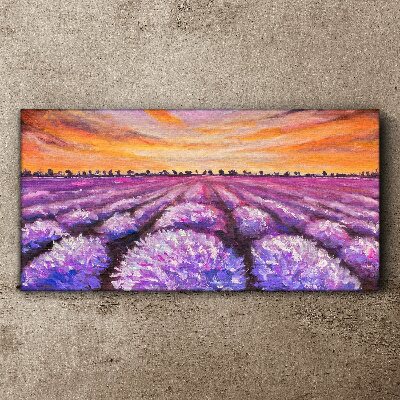 Obraz Canvas Levanduľové polia Západ slunce