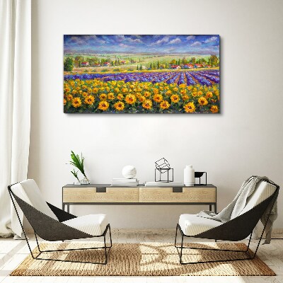 Obraz canvas Kvetinová krajina v slnečnom svetle