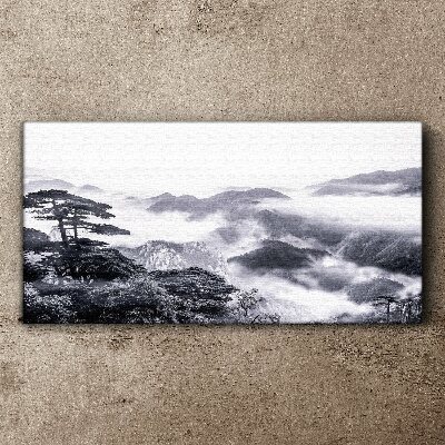 Obraz canvas Horská lesná hmla