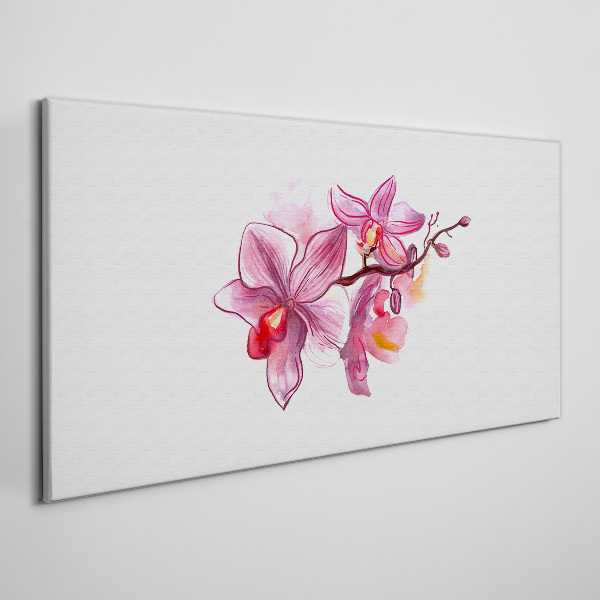 Obraz canvas Ružové orchidey na bielom pozadí