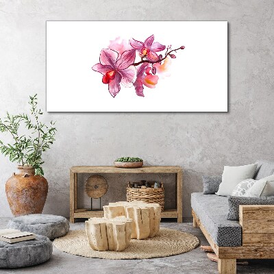 Obraz canvas Ružové orchidey na bielom pozadí