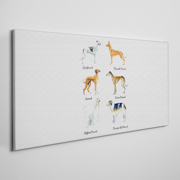 Obraz Canvas psy zvieratá