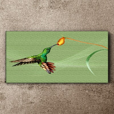 Obraz canvas Kolibrík na kvete