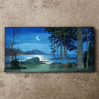 Obraz Canvas Maľovanie lesné morská noc