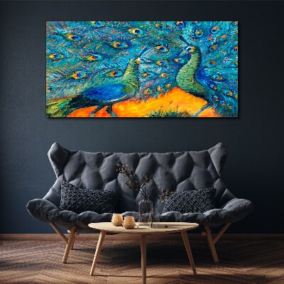 Obraz canvas Zvieratá vtáky Peacock