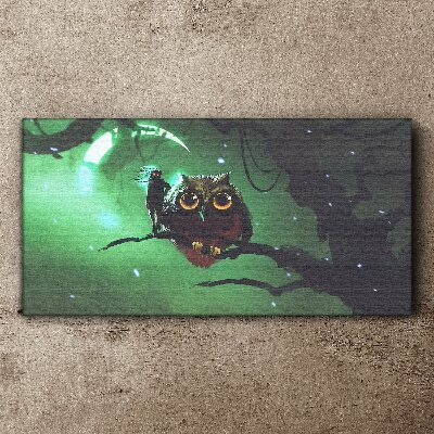 Obraz Canvas Zelená nočná reč