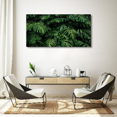Obraz Canvas Zelená džungľa