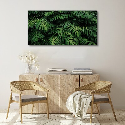 Obraz Canvas tropické listy
