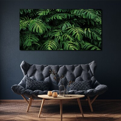 Obraz Canvas Zelená džungľa