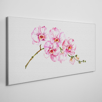 Obraz Canvas Ružové orchidey na bielom pozadí