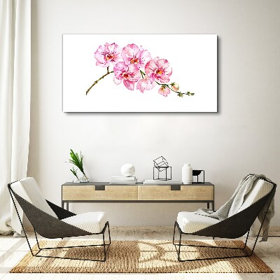 Obraz Canvas Ružové orchidey na bielom pozadí