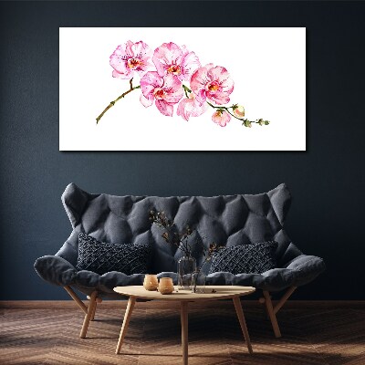 Obraz Canvas Ružové orchidey na bielom pozadí
