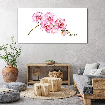 Obraz Canvas Ružové orchidey na bielom pozadí