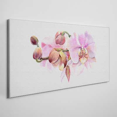 Obraz Canvas Orchidea v pastelových odtieňoch